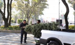 Concluye programa ??rbol por ?rbol tu Ciudad Reverdece 2026?; alcalde Luis Mendoza reconoce la participaci?n de los benitojuarenses