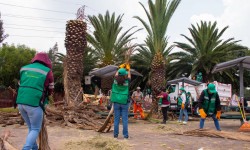 Hormigas Verdes llegan a Azcapotzalco para el cuidado de 235 espacios publicos