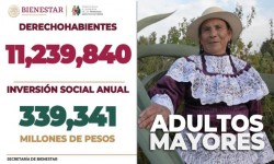 AVANZAN PROGRAMAS Y PENSIONES DE BIENESTAR DEL GOBIERNO DE MÉXICO: ARIADNA MONTIEL REYES