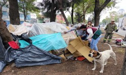 BRIGADA DE CUAUHT?MOC CONTIN?A ATENCI?N A PERSONAS EN SITUACI?N DE CALLE; SENSIBILIZAN A 47 PERSONAS Y RETIRAN 76 TONELADAS DE TRIQUES